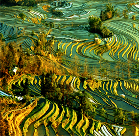 國(guó)內(nèi)云南